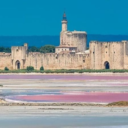 Studio En Petite Camargue Le Cailar Kültér fotó