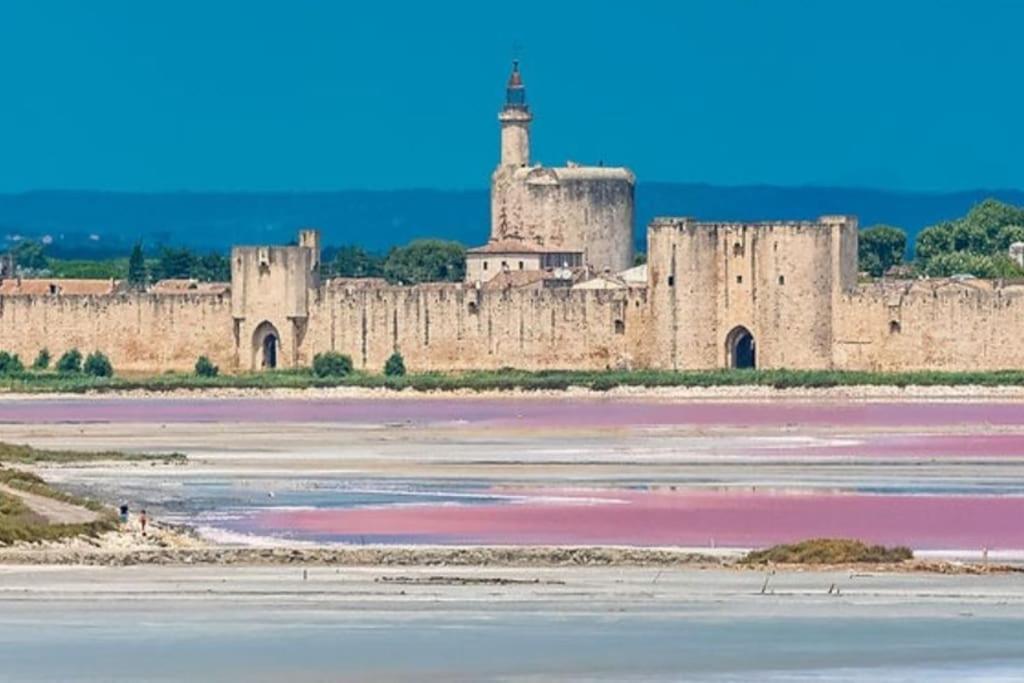 Studio En Petite Camargue Le Cailar Kültér fotó